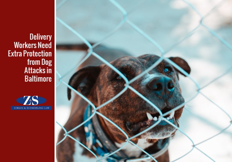 Delivery Workers Need Extra Protection from Dog Attacks in Baltimore