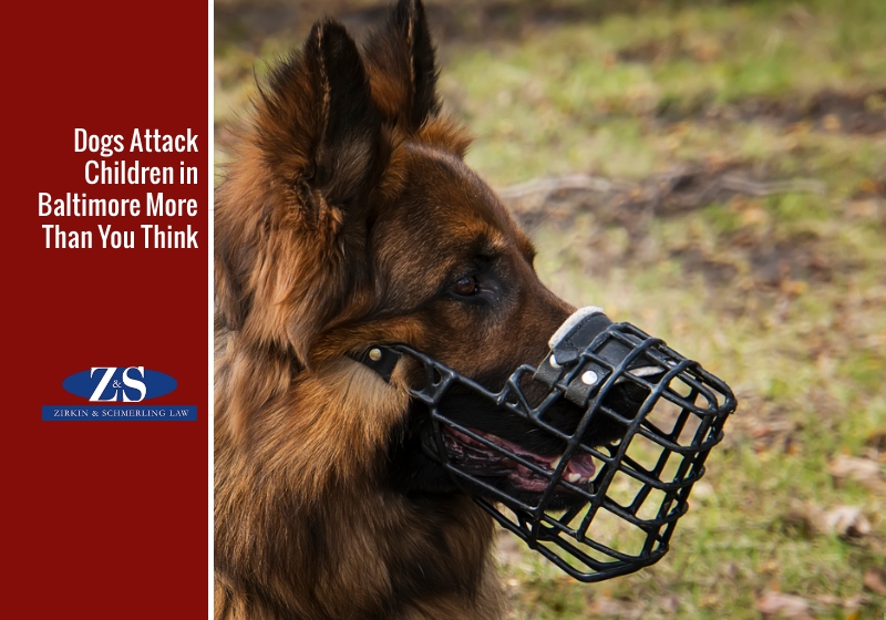 Know Baltimore County Dog Bite Laws if A Dog Attacks Your Child