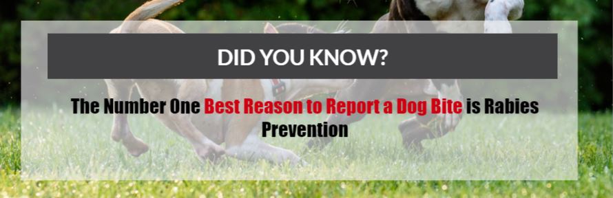 maryland dog bite attorneys
