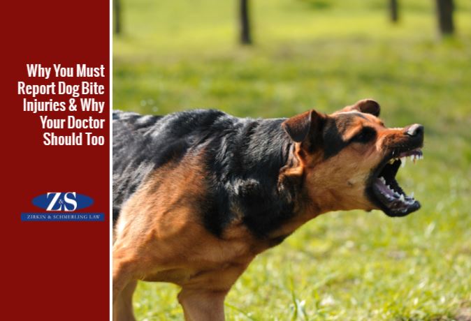 Which States Require Doctors To Report Dog Bites and Why You Should Report It Too