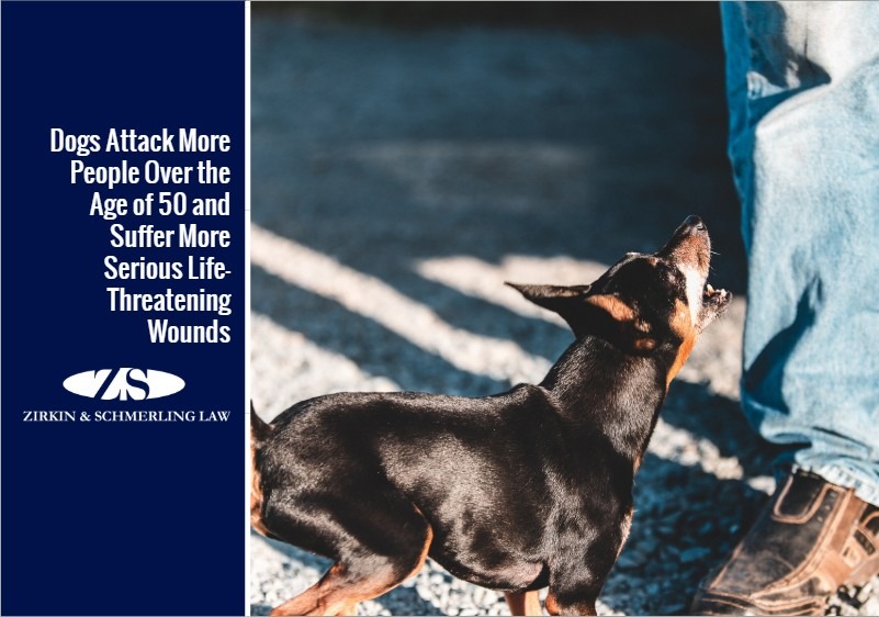 Dogs Attack More People Over the Age of 50 and Suffer More Serious Life-Threatening Wounds