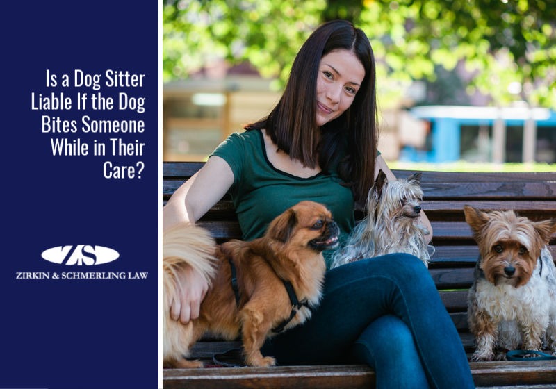 Is a Dog Sitter Liable If the Dog Bites Someone While in Their Care?