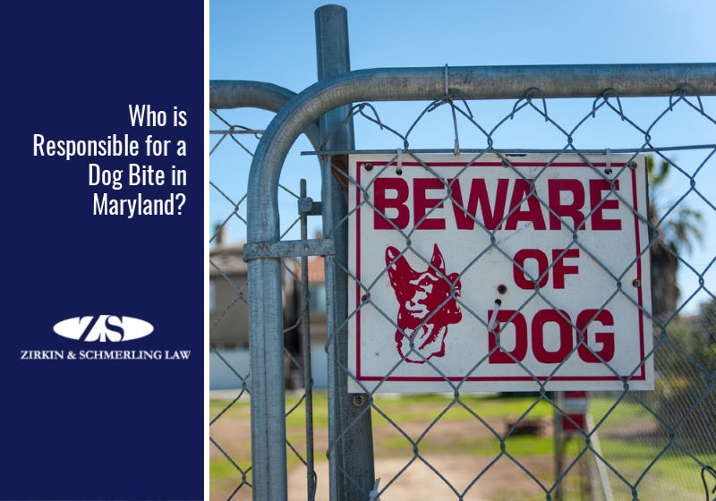 Who is Responsible for a Dog Bite in Maryland?