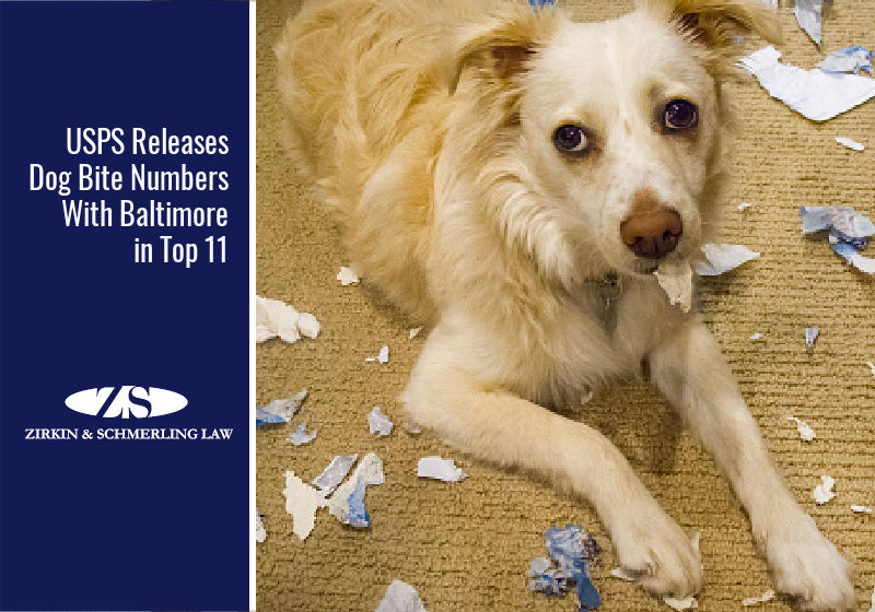 USPS Releases Dog Bite Numbers With Baltimore in Top 11