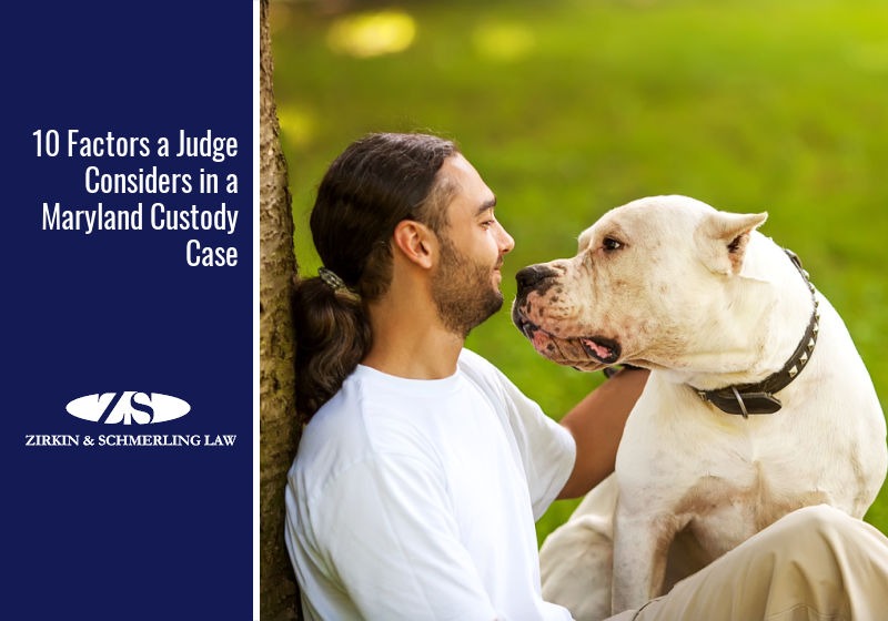 responsibility of owners of dogs that bite