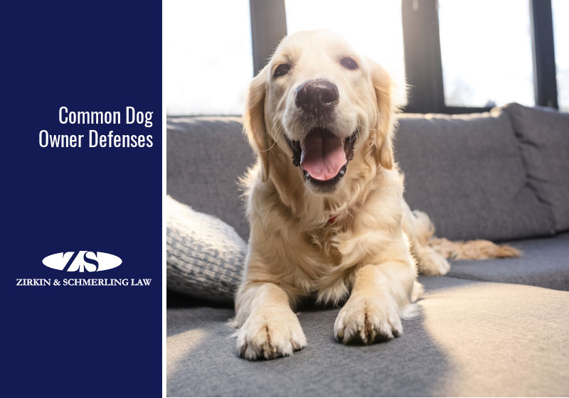 most common defenses for dog owners