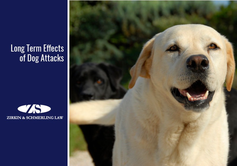 Long Term Effects Of Dog Attacks Zirkin And Schmerling