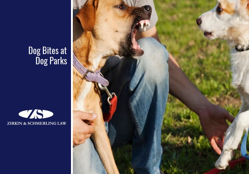 Dog Bites at Dog Parks