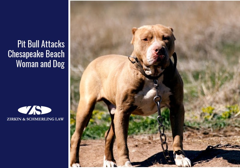 Pit Bull Attacks Chesapeake Beach Woman and Dog