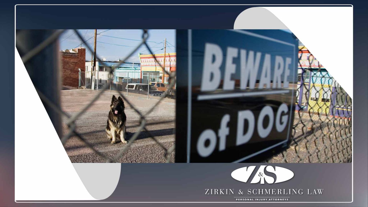 Maryland Dog Bite Laws Zirkin & Schmerling Law