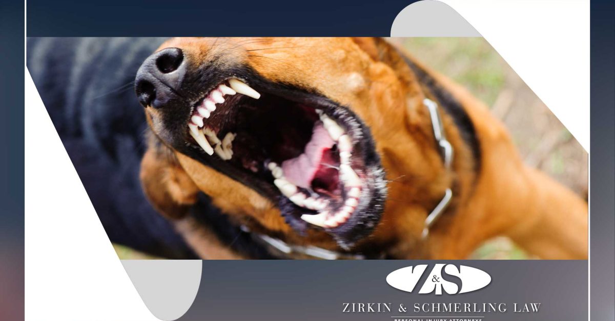 Compensation for Dog Bite with Rabies