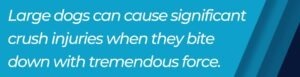 large dog crush injuries