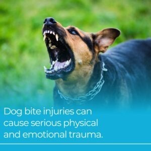 dog bite injuries
