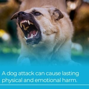 dog attacks