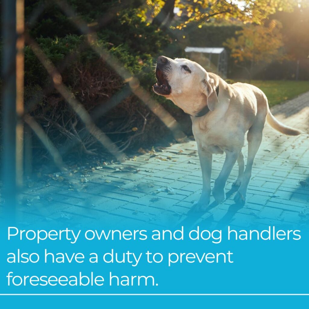 property owner and dog handler duty
