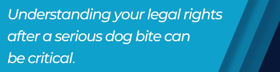 Understanding your legal rights