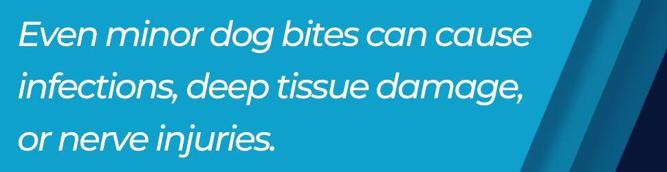 minor dog bites