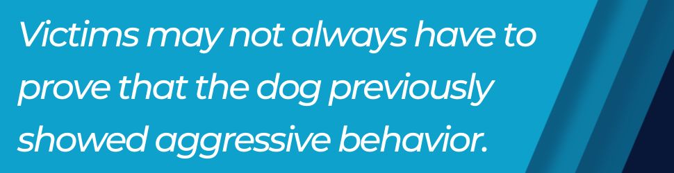Dog Owner Responsibility